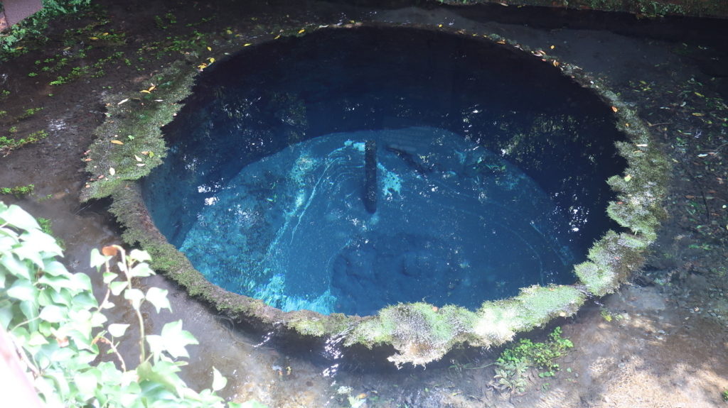 柿田川湧水池