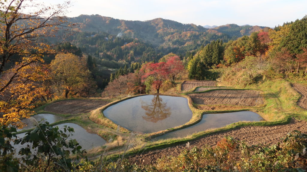 儀明の棚田
