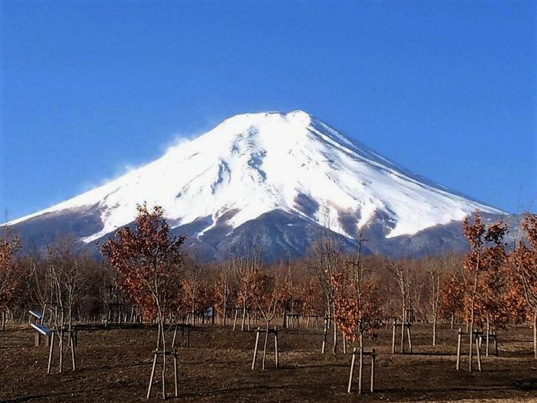富士見公園