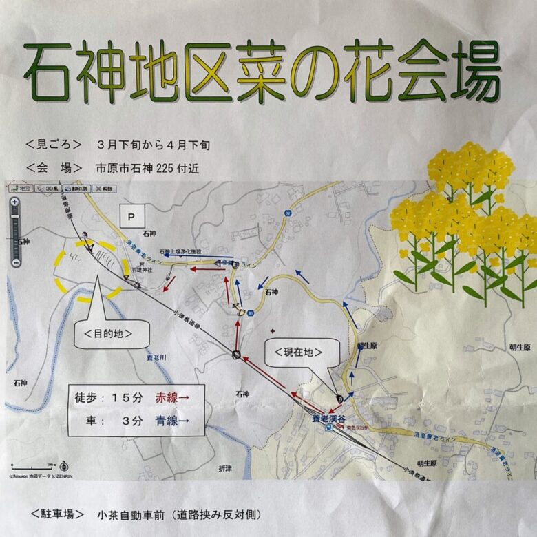 小湊鉄道 菜の花撮影スポット 地図