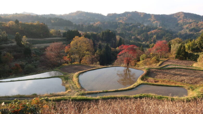 儀明の棚田