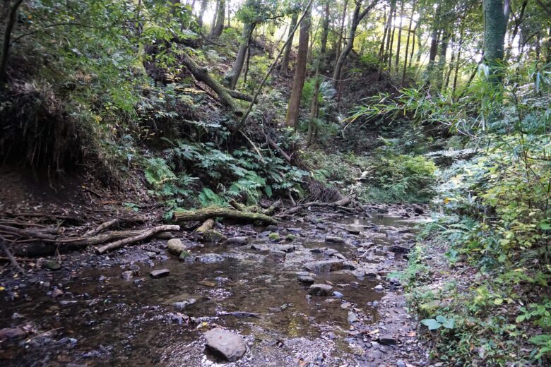 陣ヶ下渓谷公園 渓谷