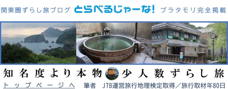 沼津港ランチ 地元推しの海鮮丼 フライの安いおすすめ店 とらべるじゃーな 関東圏旅行ブログ