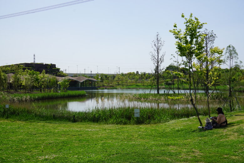 イイナパーク川口　芝生と池